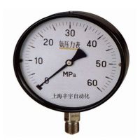 SR-YA-100、150氨压力表
